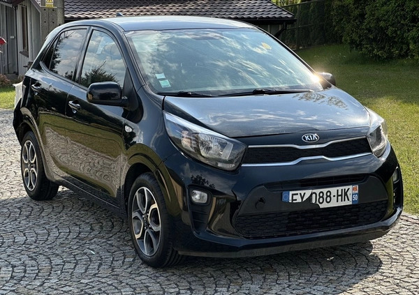 Kia Picanto cena 19900 przebieg: 71000, rok produkcji 2018 z Gorlice małe 254